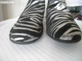 botilyony-zebra-zamsa-small-1